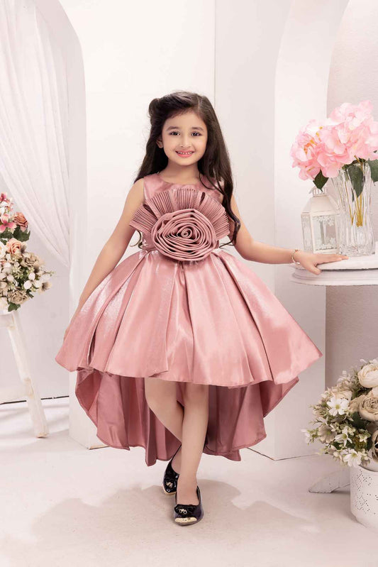 Onion Pink Embellished With Floral Tail Back Frock For Girls