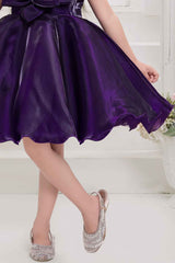 Violet Sleeveless And Floral Embellished Frock For Girls