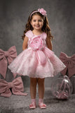 Girls Baby Pink 3D Floral Party Dress