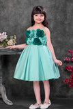 Light Blue Floral Appliqué Party Wear Frock with Pleated Skirt For Girls
