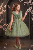 Girls Sage Green Party Wear Frock with 3D Floral Bow And Sequin Detailing