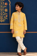 Boys Elegant Yellow Elephant Embroidered Kurta Set