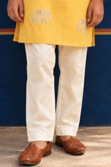 Boys Elegant Yellow Elephant Embroidered Kurta Set