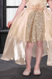 Fawn Sequined High-Low Party Wear Frock for Girls