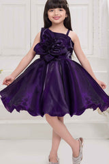 Violet Sleeveless And Floral Embellished Frock For Girls