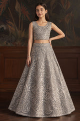 Elegant Grey Embellished Lehenga Choli Set for Girls