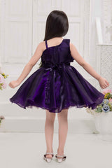 Violet Sleeveless And Floral Embellished Frock For Girls