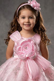 Girls Baby Pink 3D Floral Party Dress