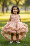 Fawn Embellished Party Wear Frock with 3D Floral Appliqué With Tailback For Girls