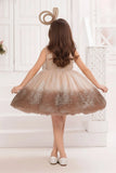 Brown Ombre With Bow Embellishment Party Wear Frock for Girls