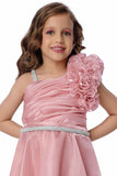 Designer Pink Floral Appliqué Party Wear Gown For Girls