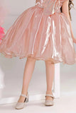 Peach Party Frock With Sequin Bow And 3D Flower Detail For Girls
