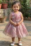 Baby Pink Butterfly Appliqué Party Wear Frock For Girls