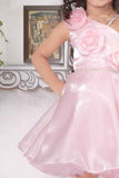 Pink Organza Frock With Floral Embellished For Girls