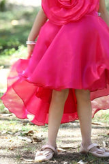 Elegant Rani Pink Oversized Floral Embellishment Party Wear Tailback Frock For Girls