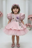 Dusty Pink Floral Embroidered Puff Sleeve Party Frock For Girls