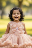 Fawn Embellished Party Wear Frock with 3D Floral Appliqué With Tailback For Girls