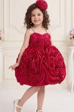 Rani Pink 3D Rosette Appliqué Party Wear  Frock For Girls
