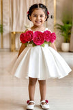 Girls Cream 3D Floral Applique Party Wear Frock