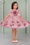 Blush Pink Glitter Party Frock with 3D Floral Bow For Girls