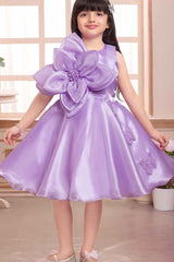 Elegant Lavender Floral And Butterfly Embellished Frock For Girls