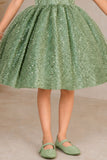 Girls Sage Green Party Wear Frock with 3D Floral Bow And Sequin Detailing