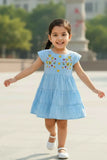 Elegant Blue Hakoba And Embroidered Frock For Girls