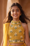 Girls Mustard Yellow  Embroidered Halter Neck Choli Set with Dupatta