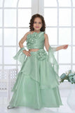Pista Green Organza Lehenga Choli And Dupatta For Girls