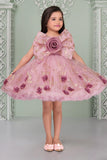 Blush Pink Glitter Party Frock with 3D Floral Bow For Girls