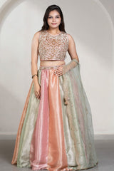 Girls Blush Pink And Mint Green Sequin Embellished Lehenga Choli Set