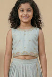 Silver Grey Embroidered Lehenga Choli For Girls