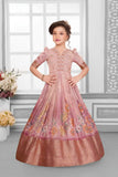 Onion Pink Floral Banarasi Gown For Girls