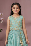 Blue Floral Embroidered Lehenga Choli For Girls