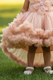 Fawn Embellished Party Wear Frock with 3D Floral Appliqué With Tailback For Girls