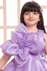 Elegant Lavender Floral And Butterfly Embellished Frock For Girls