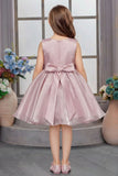 Onion Pink Sequin Embellished Frock For Girls