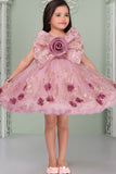 Blush Pink Glitter Party Frock with 3D Floral Bow For Girls
