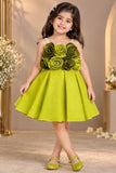 Lime Green Floral Appliqué Party Wear Frock with Pleated Skirt For Girls
