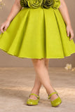 Lime Green Floral Appliqué Party Wear Frock with Pleated Skirt For Girls