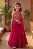 Girls Rani Pink  Embroidered Halter Neck Choli Set with Dupatta