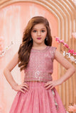 Pink Sequins Embroidered Lehenga Choli Set For Girls