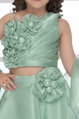 Pista Green Organza Lehenga Choli And Dupatta For Girls
