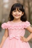 Baby Pink Party Wear Frock with 3D Ruffled Detailing & Waist Bow For Girls
