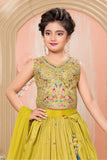 Yellow Multi-Color Butterfly Sequins Embroidered Lehenga Choli Set for Girls