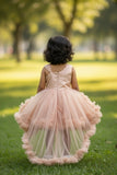 Fawn Embellished Party Wear Frock with 3D Floral Appliqué With Tailback For Girls