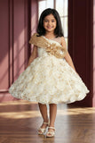 Girls Cream Floral Party Frock with 3D Rosette Work And Statement Bow