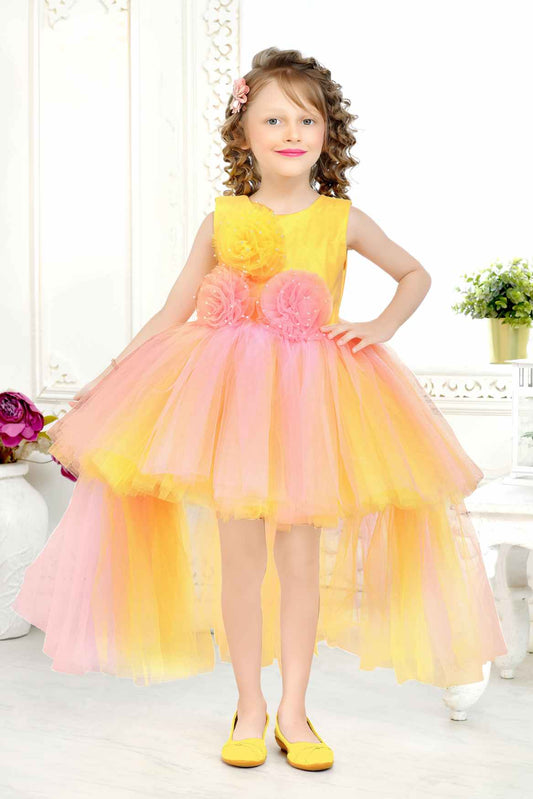 Lemon Netted Embellished With Flowers Partywear Frock For Girls