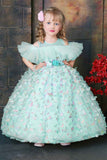 Mint Green Butterfly Appliqué Ball Gown  For Girls
