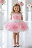 White & Pink 3D Rosette Embellished Party Wear Frock For Girls